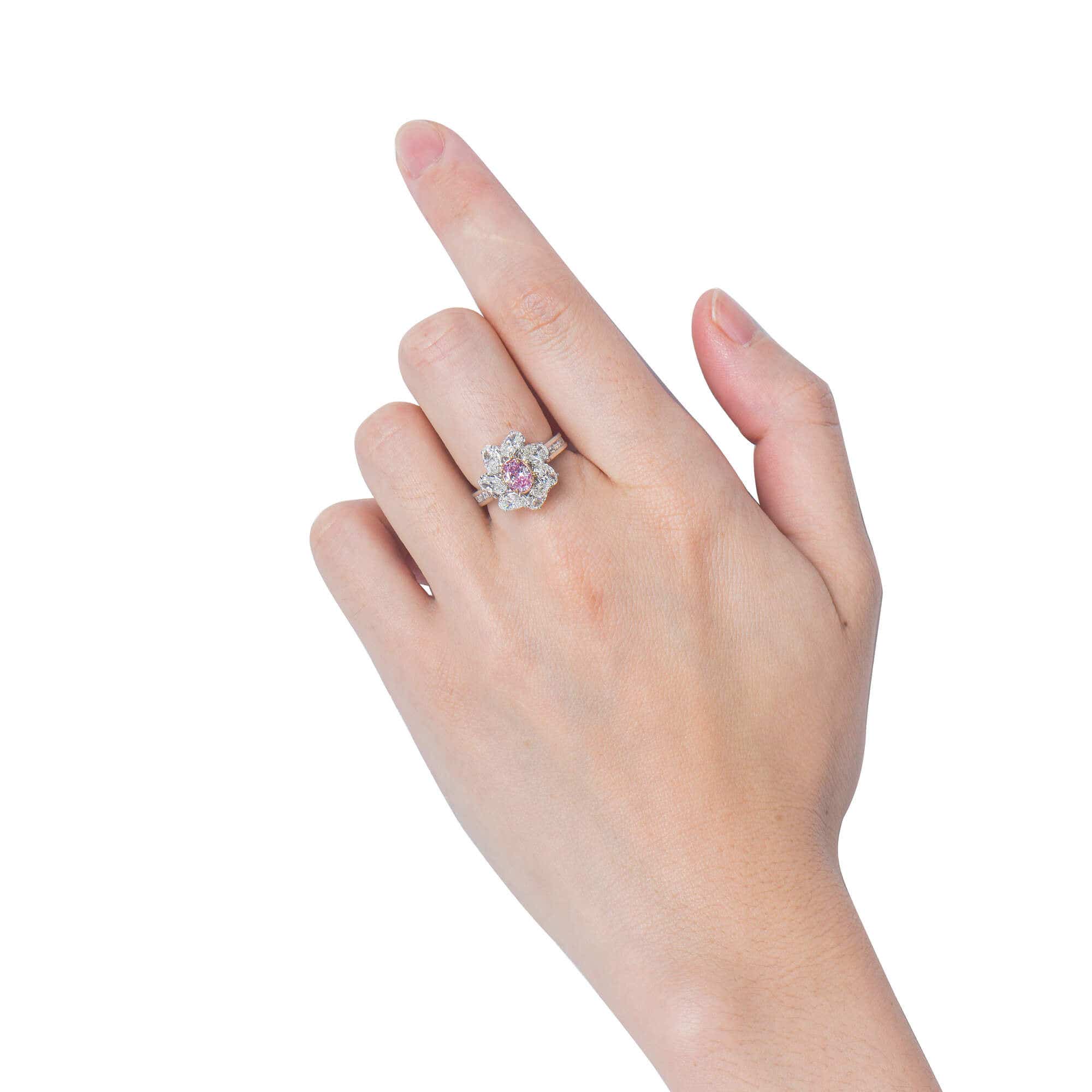 PURPLE DIAMOND | DIAMOND EXCHANGE FEDERATION